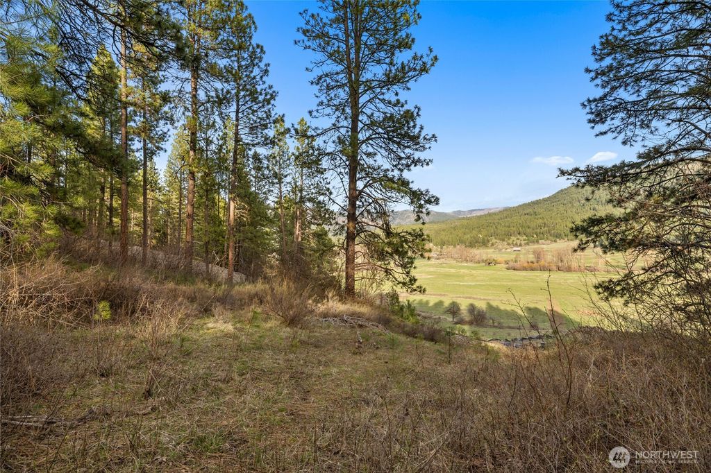 Photo of 250 Fir Tree Drive, Cle Elum, WA 98922 (MLS # 2502709)