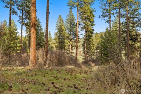 250 Fir Tree Drive Cle Elum WA 98922