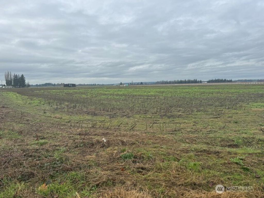 Photo of 1440 Birch Bay Lynden Road, Lynden, WA 98264 (MLS # 2458596)