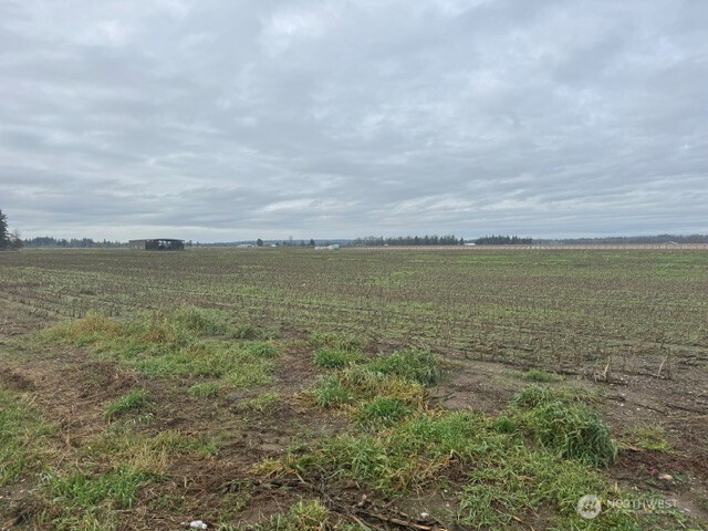 1440 Birch Bay Lynden Road