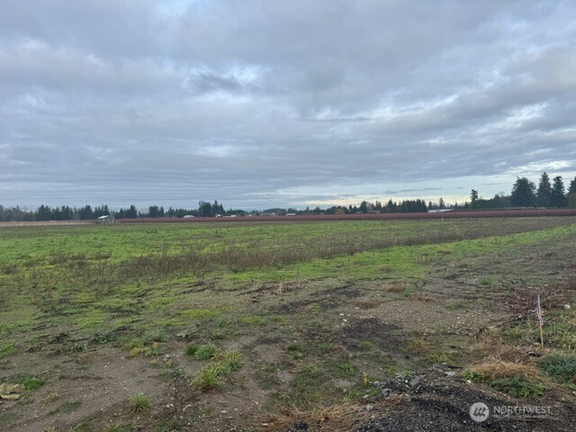 1440 Birch Bay Lynden Road