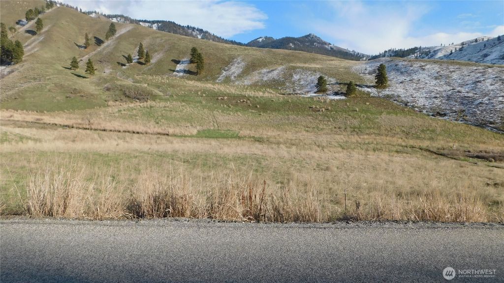 Photo of 8031 Nahahum Canyon Road, Cashmere, WA 98815 (MLS # 2481224)