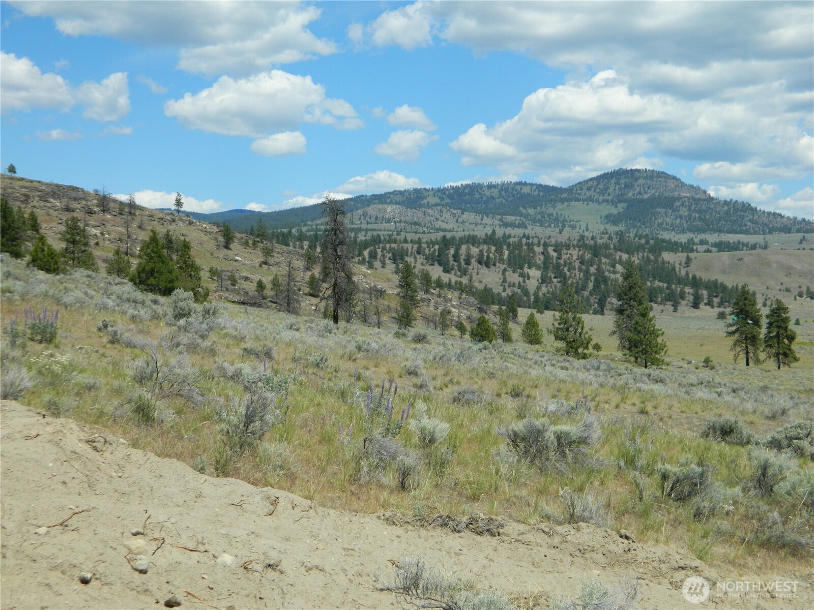 995 Highway 20