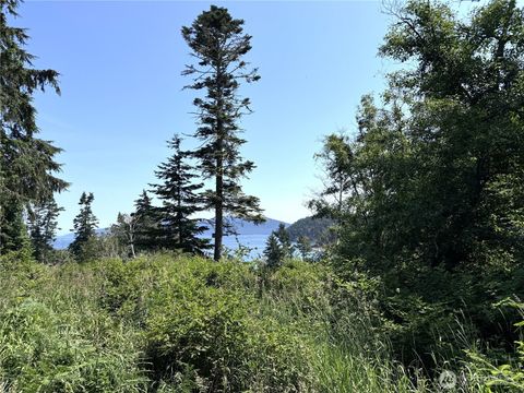 0 Davis Beach Road Decatur Island WA 98221