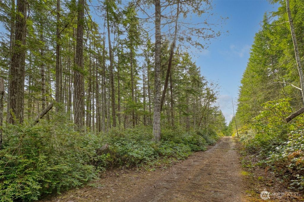 Photo of 2 NW Larson Lane, Seabeck, WA 98380 (MLS # 2484140)