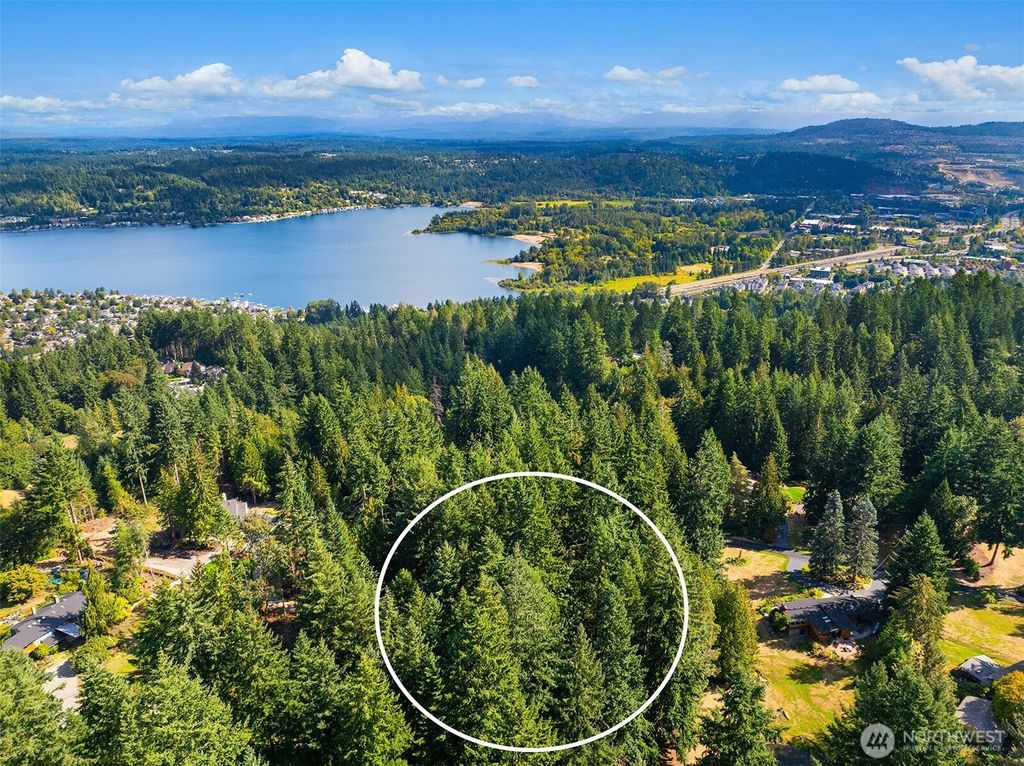 Photo of 18610 SE 58th Street, Issaquah, WA 98027 (MLS # 2444143)