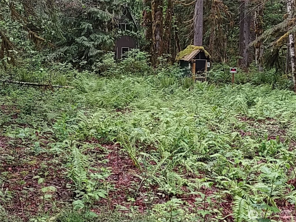 Photo of 63645 NE 190th Street, Baring, WA 98224 (MLS # 2466099)