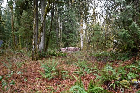 Photo of 63645 NE 190th Street, Baring, WA 98224 (MLS # 2466099)