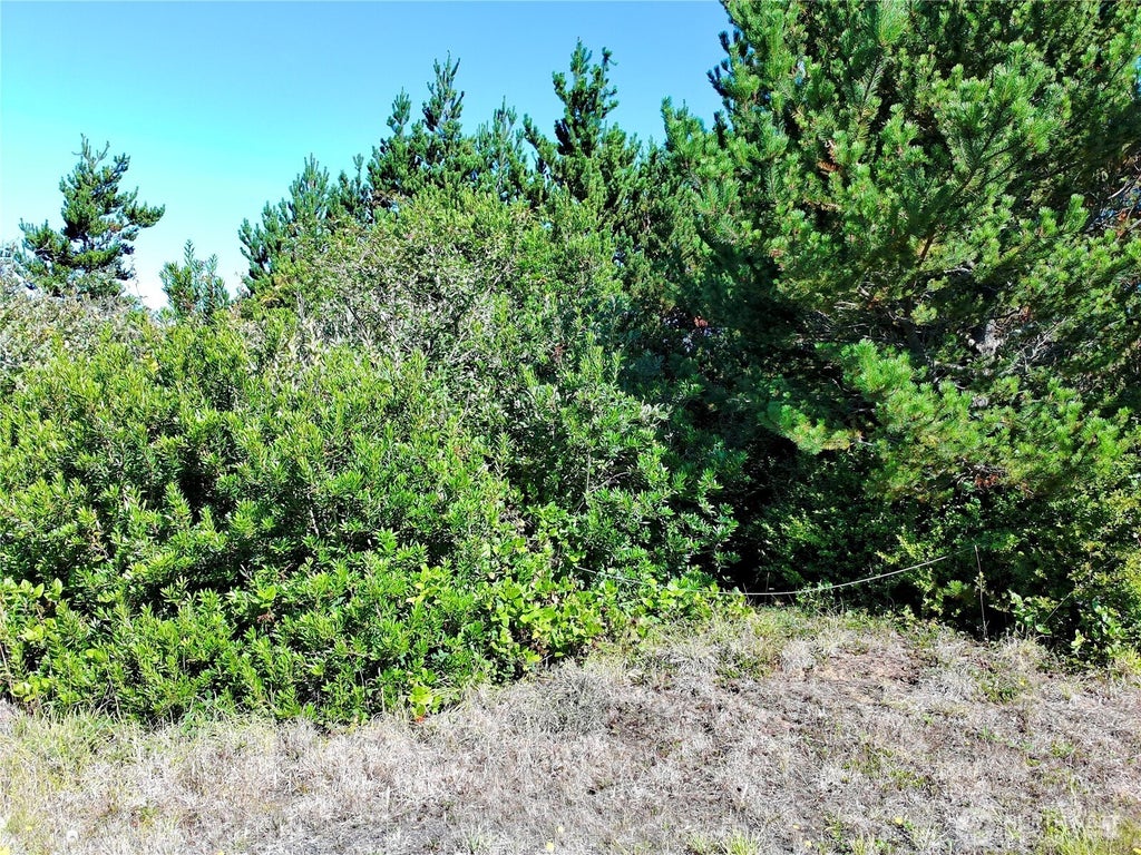 Photo of 362 King Cyrus Loop SW, Ocean Shores, WA 98569 (MLS # 2575899)