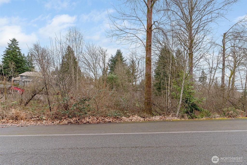Photo of 0 17XXX 172nd Avenue E, Renton, WA 98059 (MLS # 2472960)
