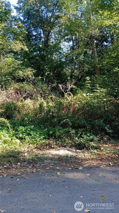 Photo of 97 J Saratoga, Hat Island, WA 98206 (MLS # 2594240)