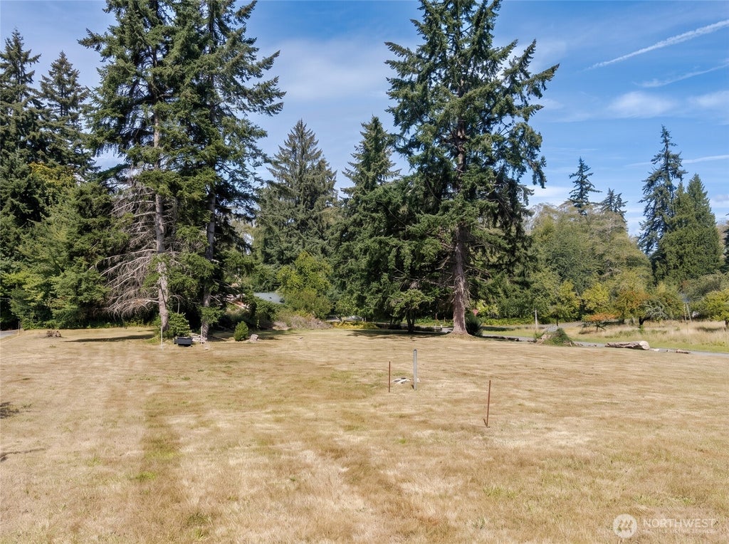 Photo of 9903 SW 116th Street, Vashon, WA 98070 (MLS # 2576775)