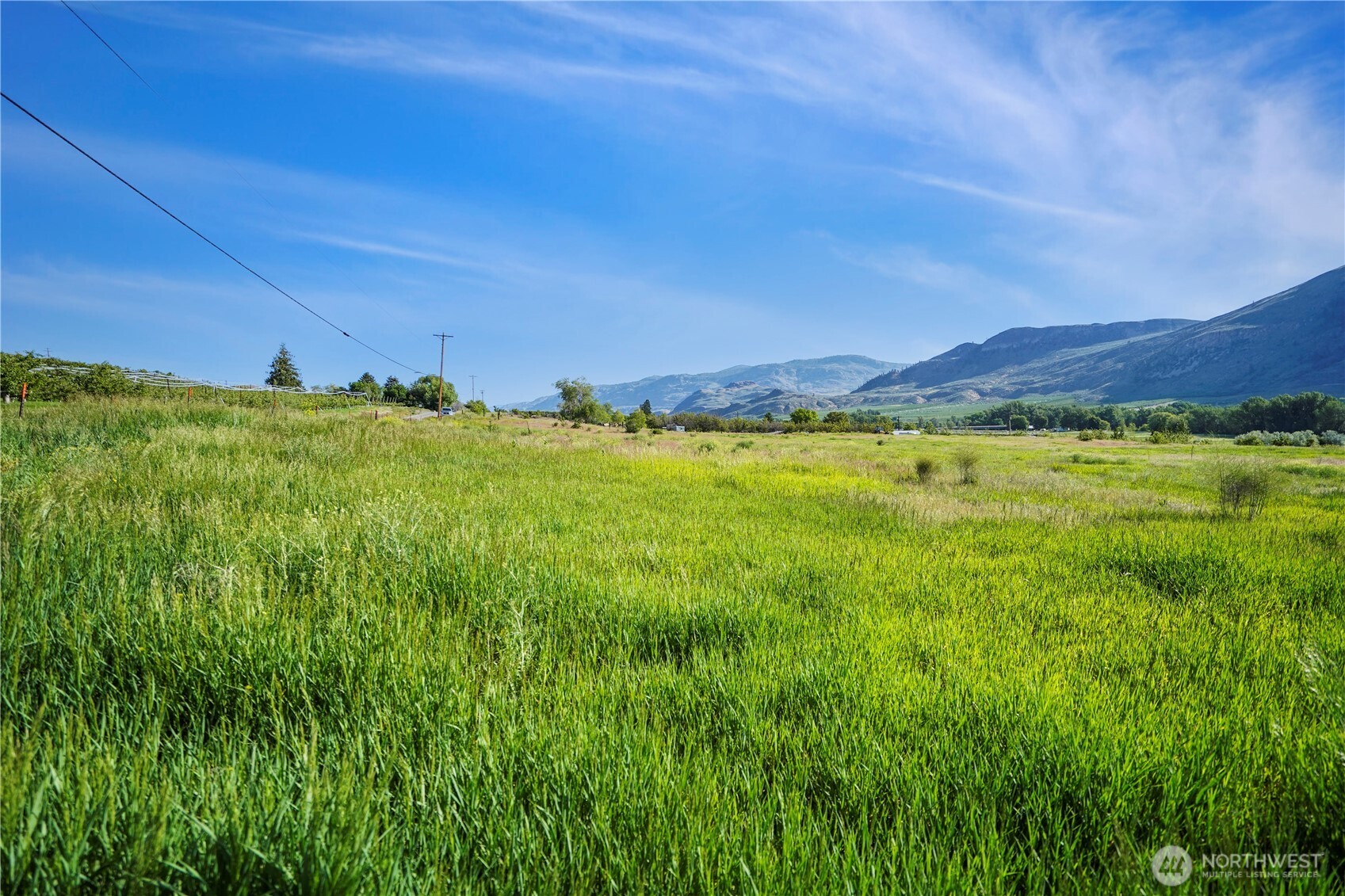 Tonasket, Washington 98855, United States, ,Land,Active,141899