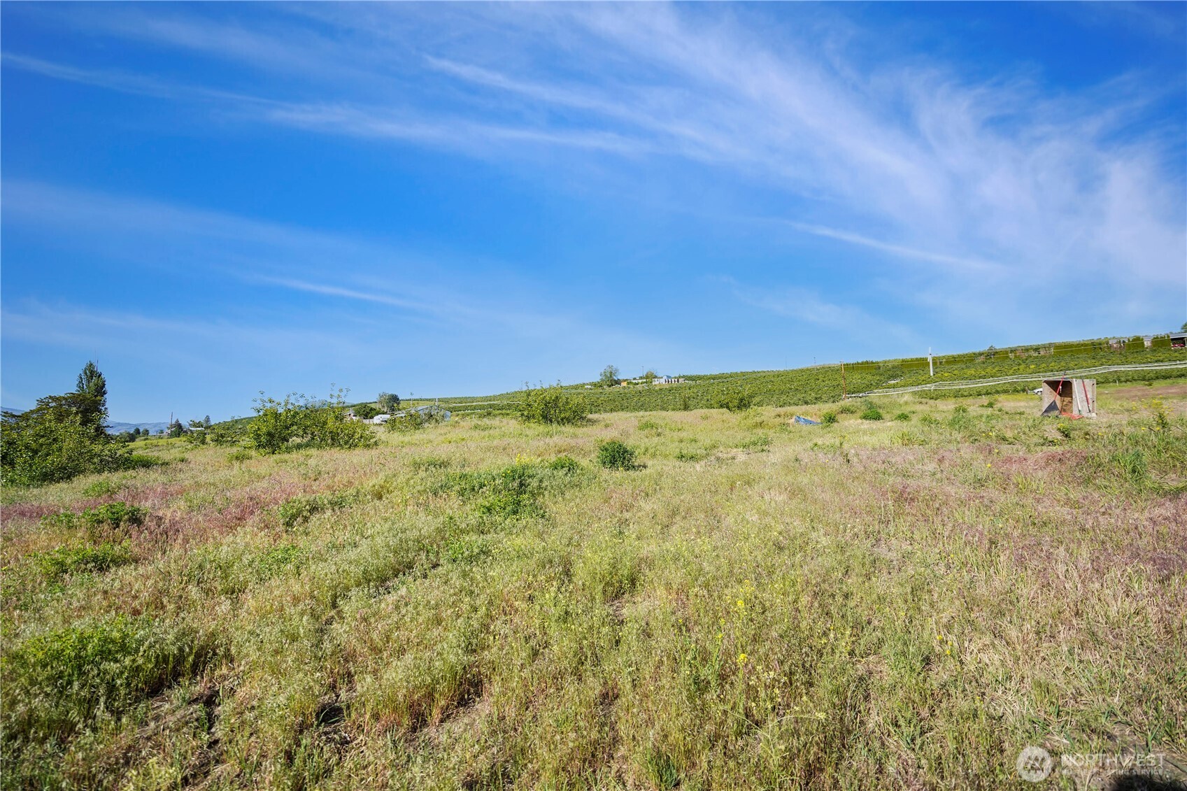 Tonasket, Washington 98855, United States, ,Land,Active,141899