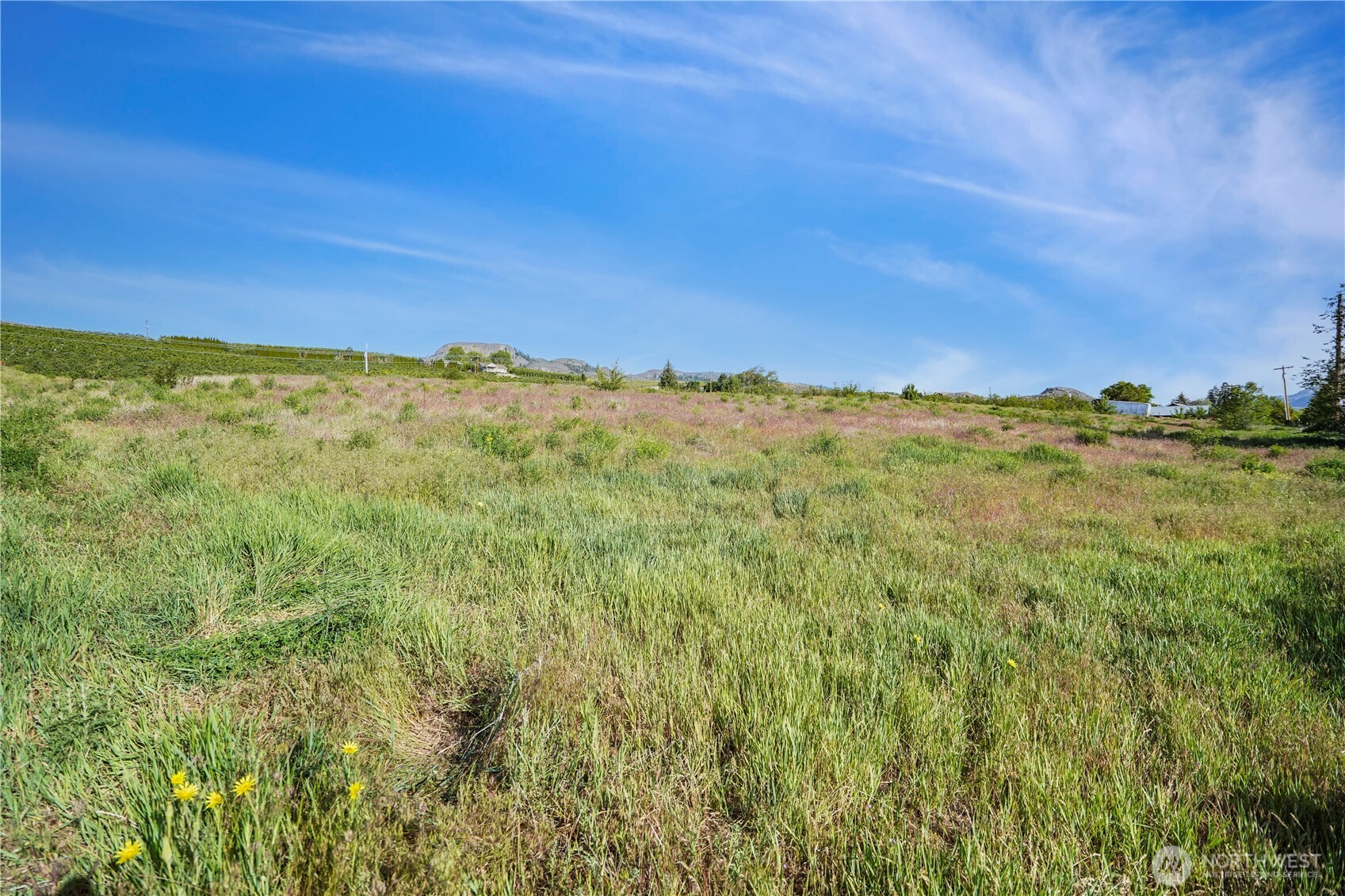 Tonasket, Washington 98855, United States, ,Land,Active,141899