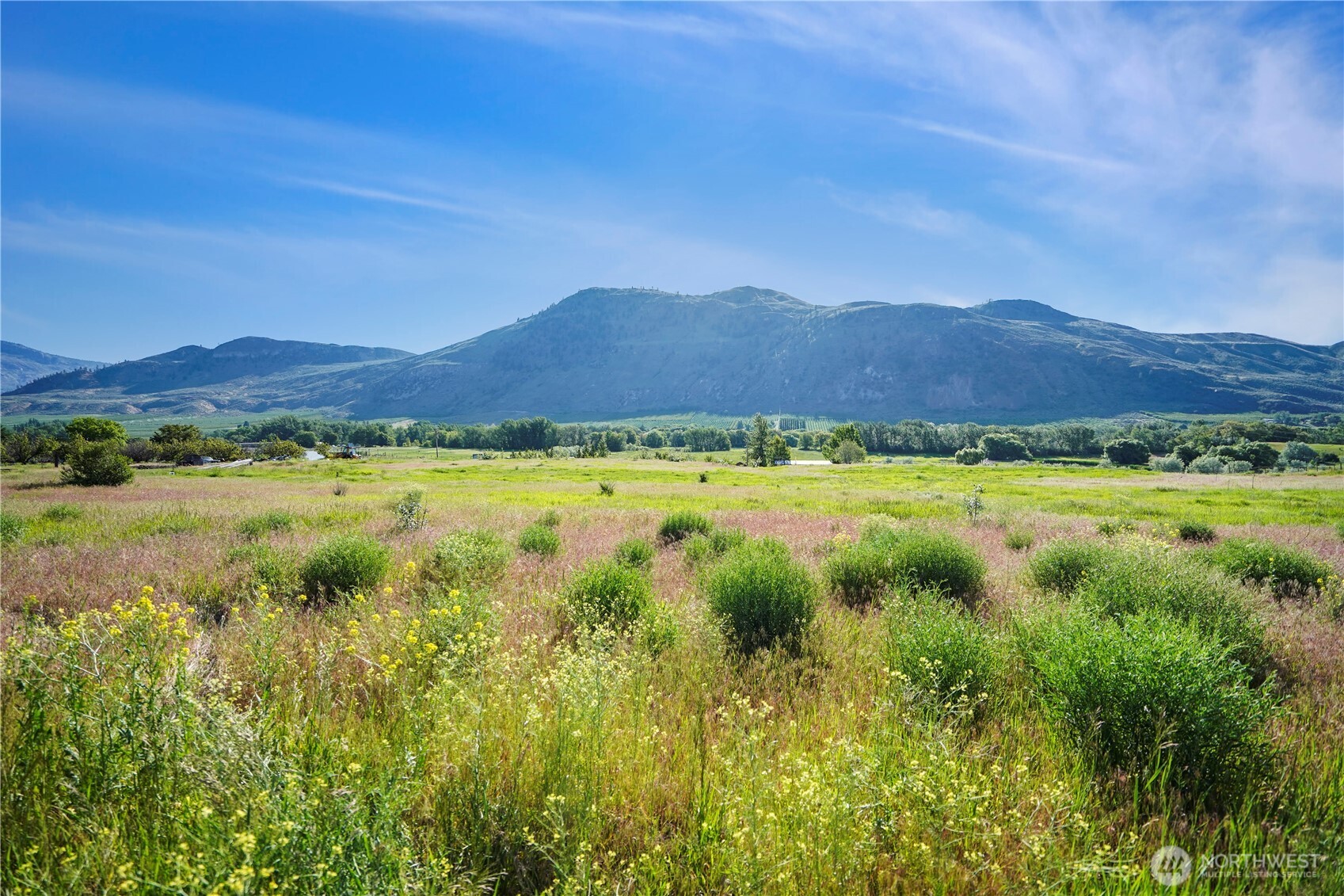 Tonasket, Washington 98855, United States, ,Land,Active,141899