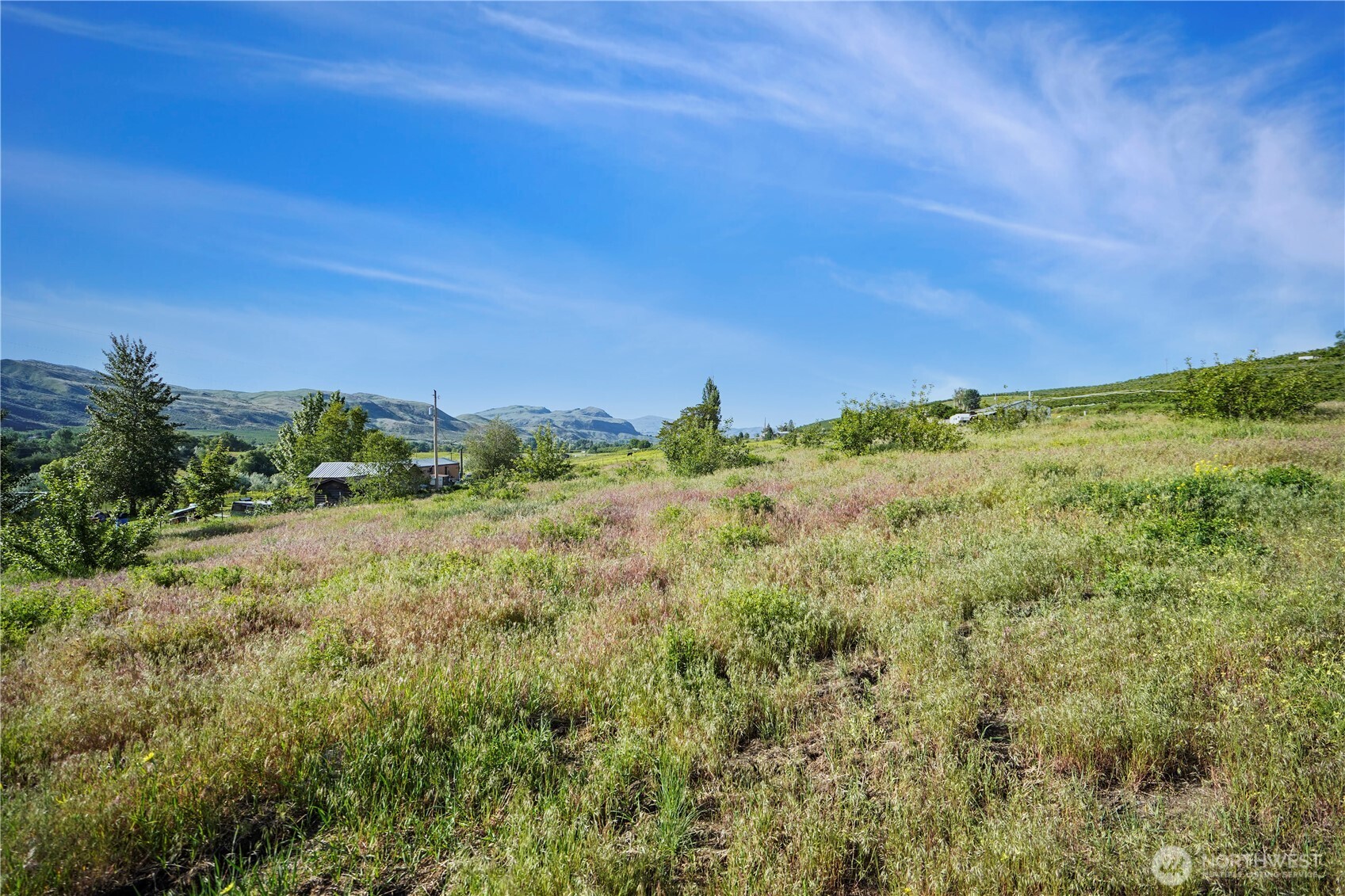 Tonasket, Washington 98855, United States, ,Land,Active,141899