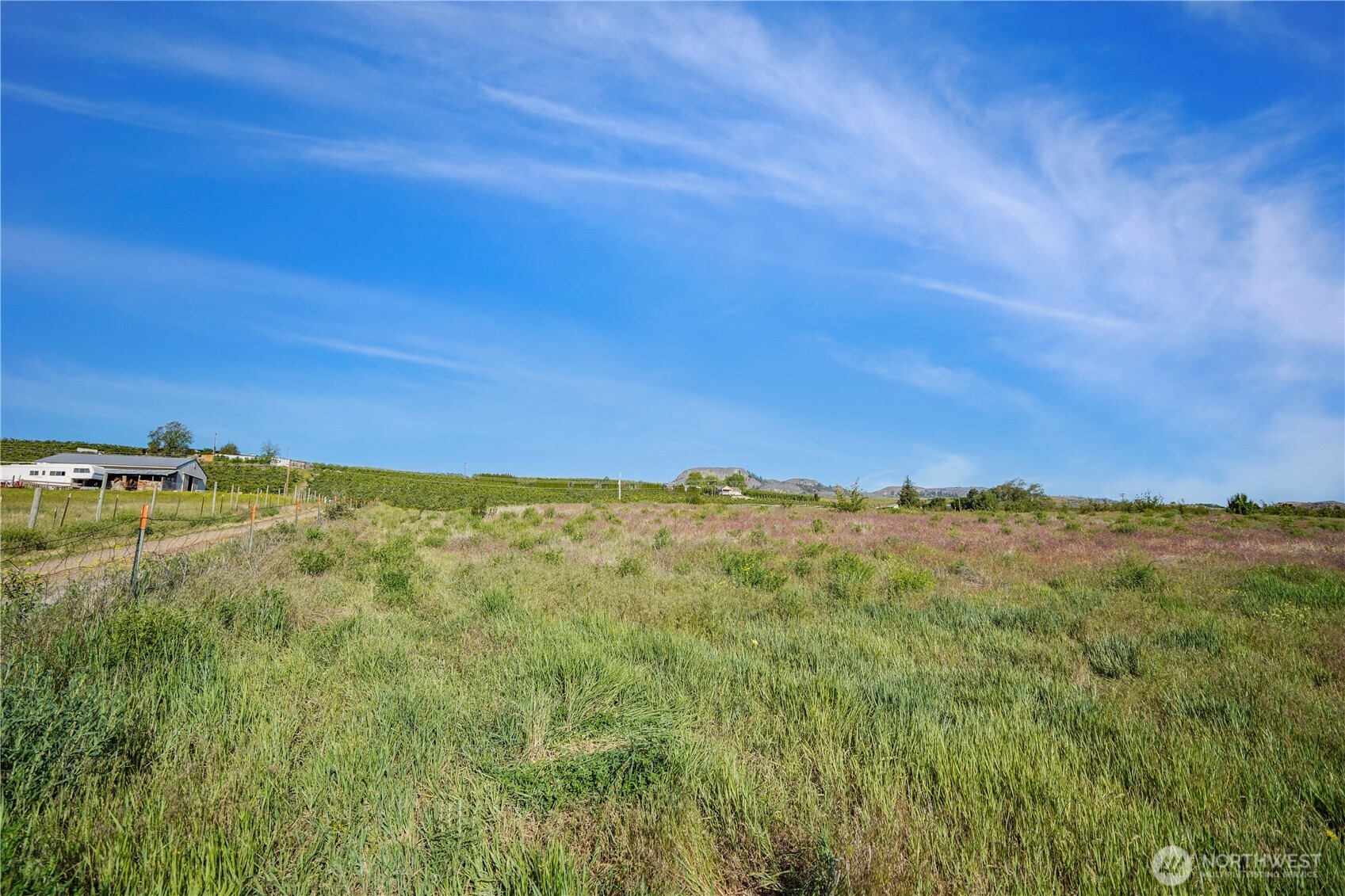 Tonasket, Washington 98855, United States, ,Land,Active,141899