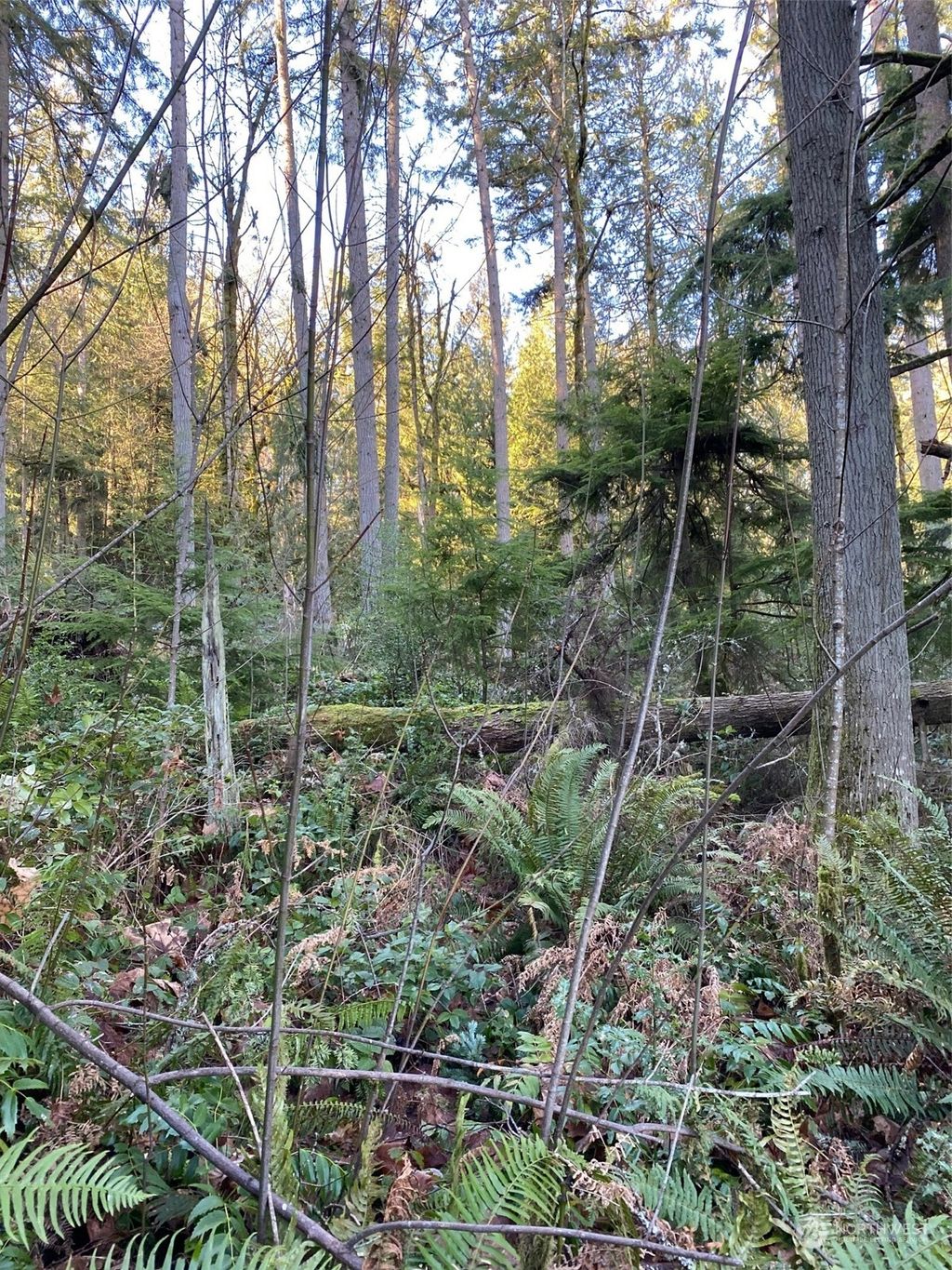 Photo of 19201 SE 56th, Issaquah, WA 98027 (MLS # 2326838)