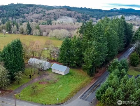 175 stevens Road Doty WA 98532
