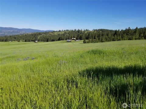 49 Old Ranch House Road Republic WA 99166