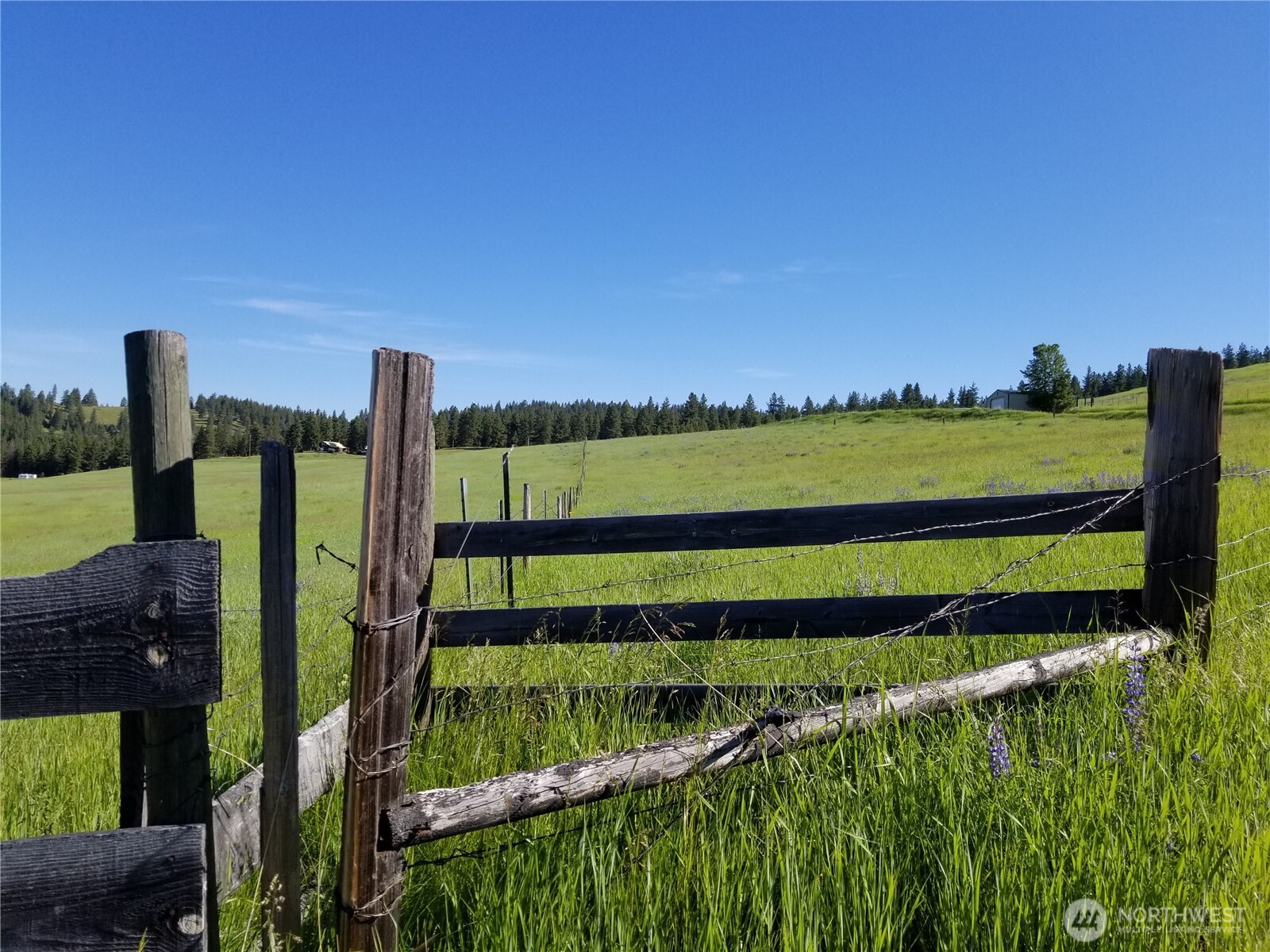 49 Old Ranch House Road