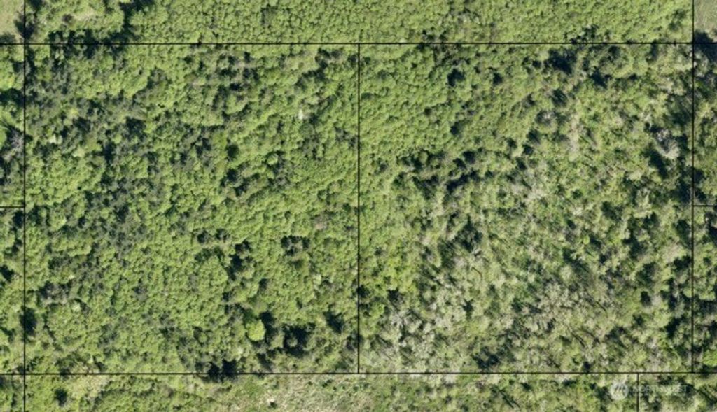 Photo of 0 Short Road, Onalaska, WA 98570 (MLS # 2502484)