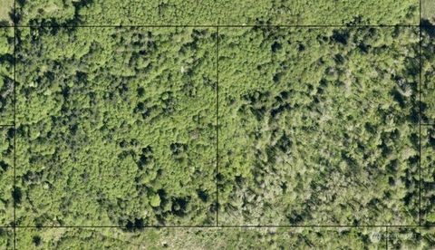 Photo of 0 Short Road, Onalaska, WA 98570 (MLS # 2502484)