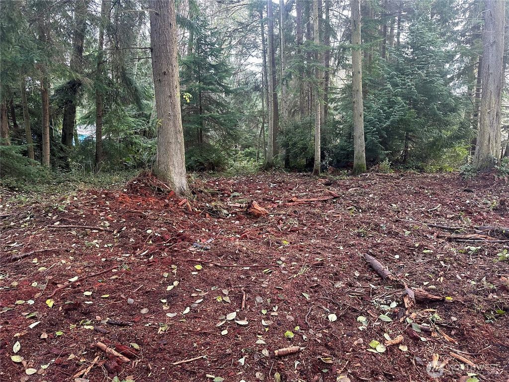 Photo of 0 Lot 60 Worthy Place, Greenbank, WA 98253 (MLS # 2478417)