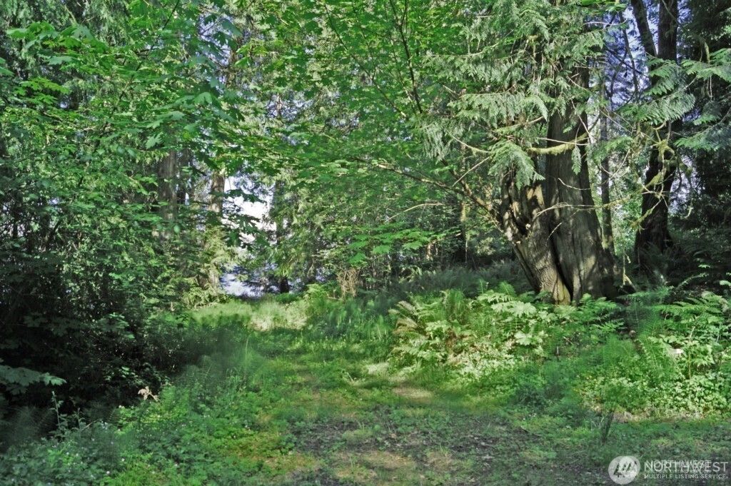 Photo of 0 TBD E Harstine Heights Lane, Shelton, WA 98584 (MLS # 2463088)