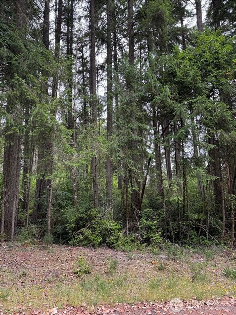 9223 Kootenai Drive Anderson Island WA 98303