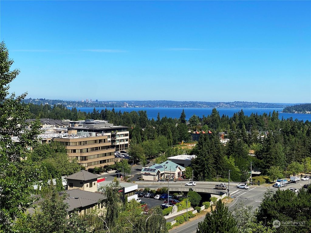 Photo of 2949 81st Place SE #490P, Mercer Island, WA 98040 (MLS # 2004520)