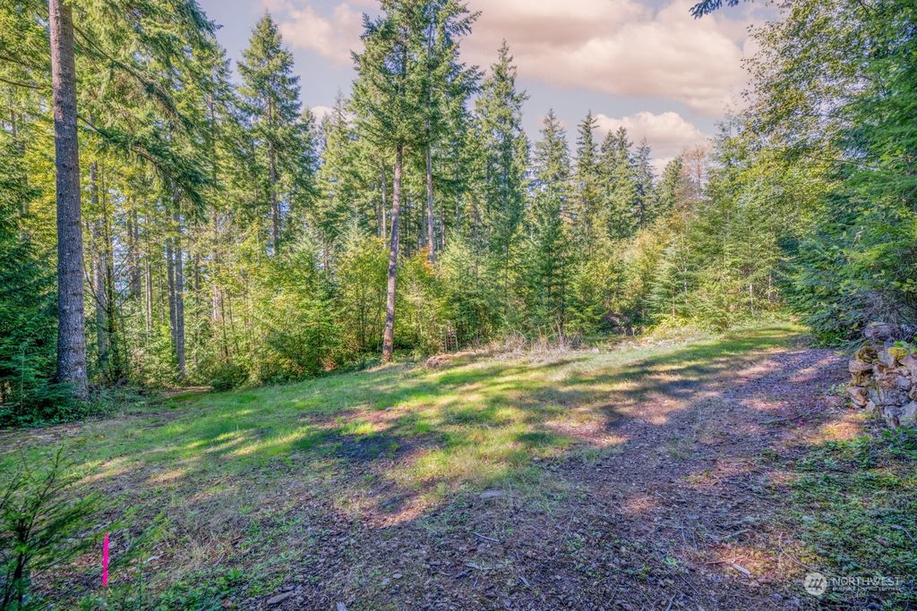 Photo of 0 Dagger Lake Rd, Monroe, WA 98272 (MLS # 2292113)
