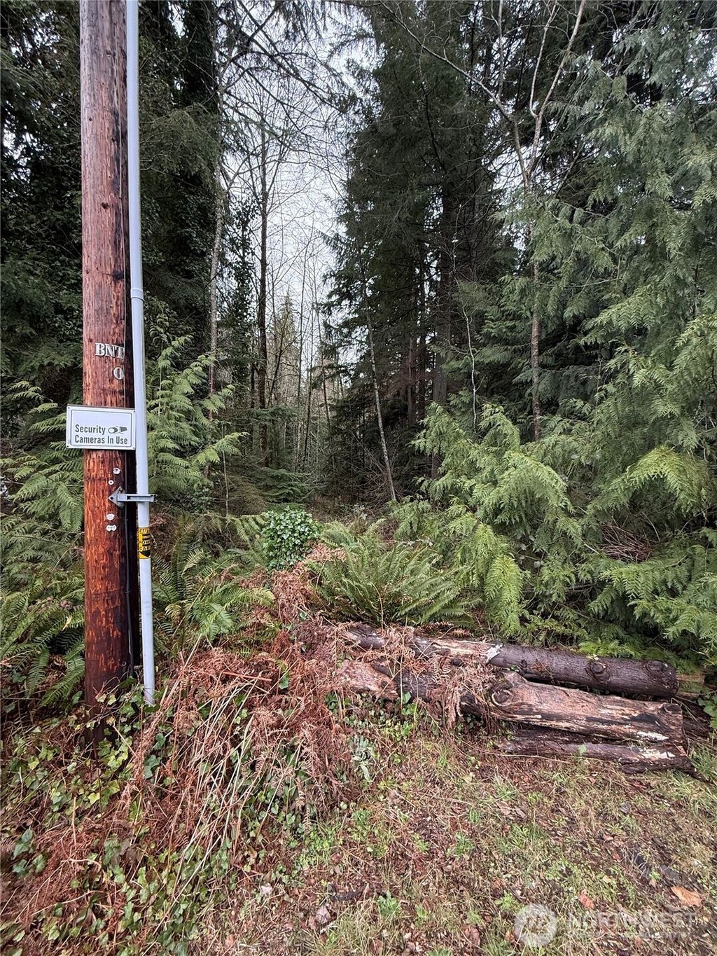 Photo of 12313 150th Street NE, Arlington, WA 98223 (MLS # 2496652)