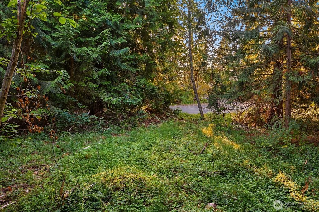 Photo of 107 133rd Street SW, Vashon, WA 98070 (MLS # 2479581)