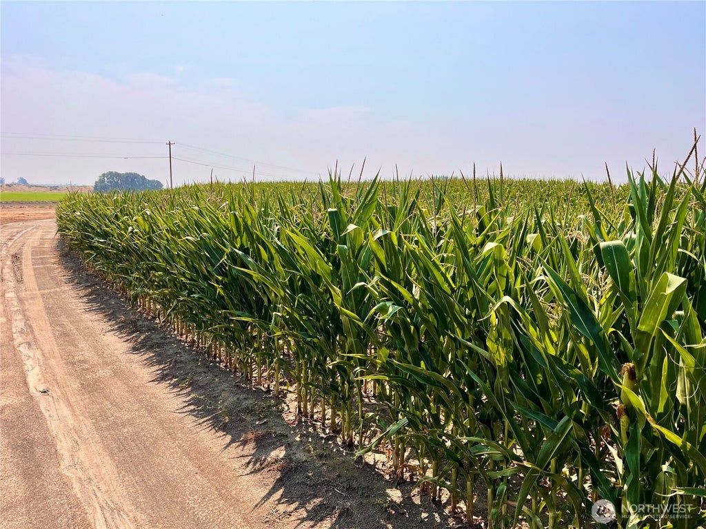 Photo of 0 5 Road NW, Ephrata, WA 98823 (MLS # 2558770)