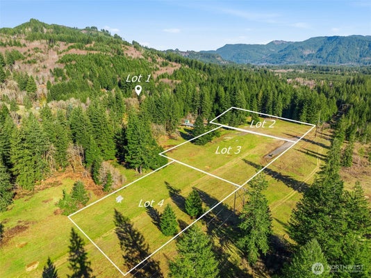 ADDRESS PRIVATE, ARIEL, WA 98603 - Image ae572ff6c10cffe87d4cd8730f7b9f56/80773285