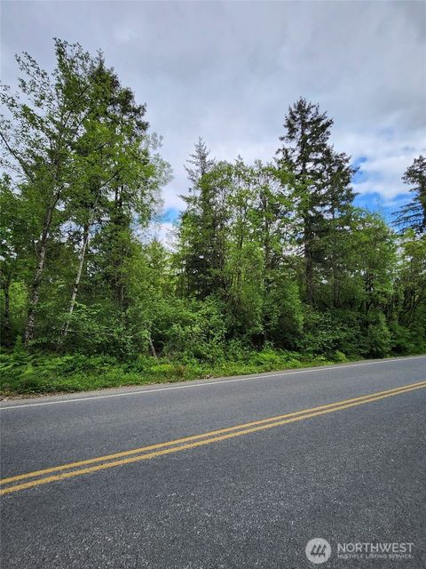 0 Henroit Road Toledo WA 98591