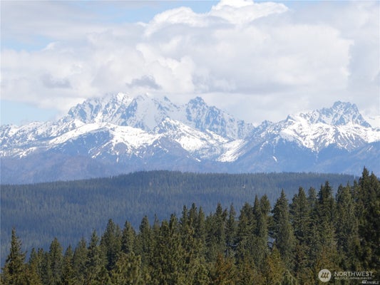 831 HORSE HEAVEN RD, CLE ELUM, WA 98922 - Image ae5e7b65272d9bf60a809f97987c6ddb/2642257892