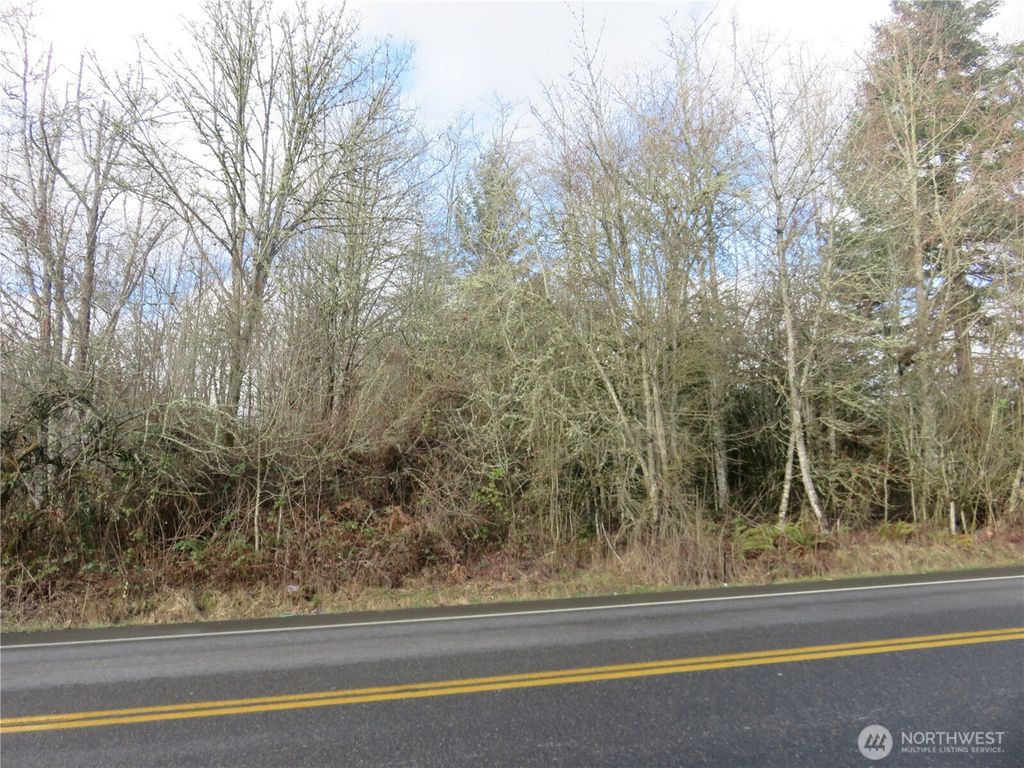 Photo of 4223 Johnson Point Road NE, Olympia, WA 98516 (MLS # 2480637)