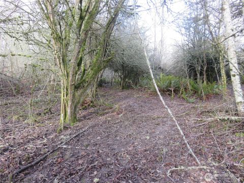 Photo of 4223 Johnson Point Road NE, Olympia, WA 98516 (MLS # 2480637)