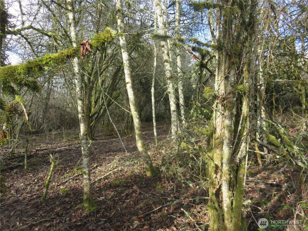 Photo of 4223 Johnson Point Road NE, Olympia, WA 98516 (MLS # 2480637)