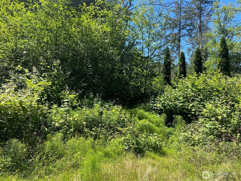 Photo of 0 Lot 43 Jonna Drive, Point Roberts, WA 98281 (MLS # 2539669)