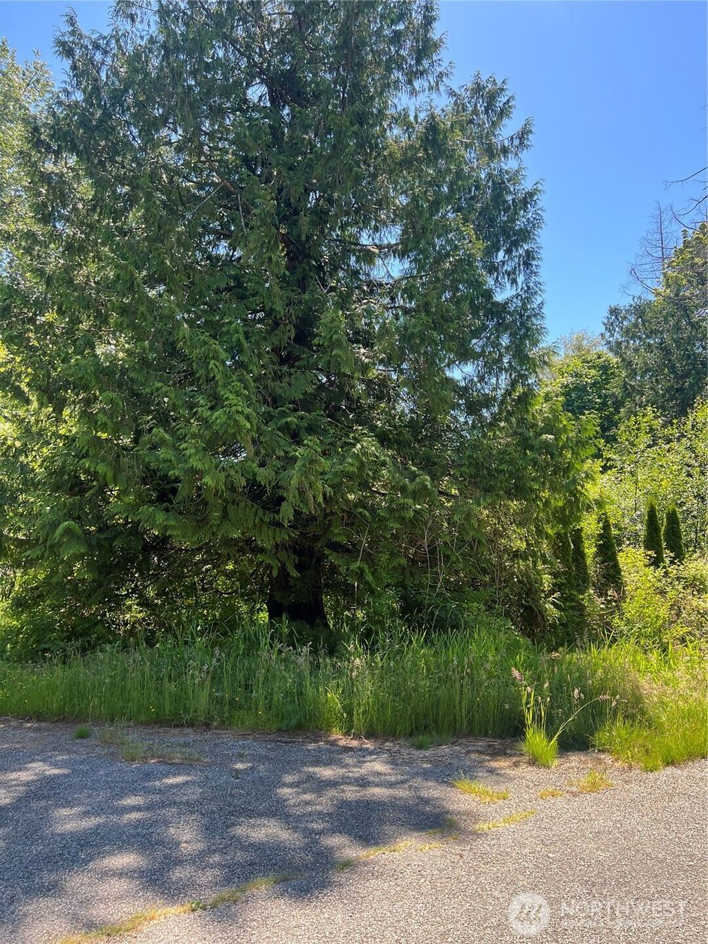 Photo of 0 Lot 43 Jonna Drive, Point Roberts, WA 98281 (MLS # 2539669)