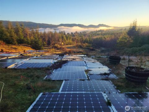 Photo of 317 Parpal Road, Naselle, WA 98638 (MLS # 2470024)