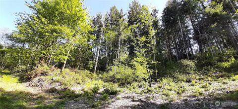 301 NE WJ Way Belfair WA 98528