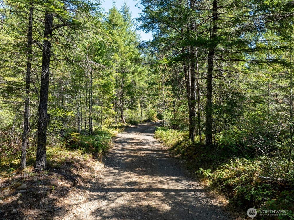 Photo of 2461 W Hanks Lake Road, Shelton, WA 98584 (MLS # 2571940)