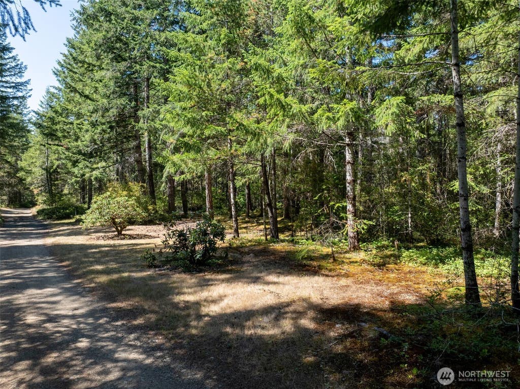 Photo of 2461 W Hanks Lake Road, Shelton, WA 98584 (MLS # 2571940)