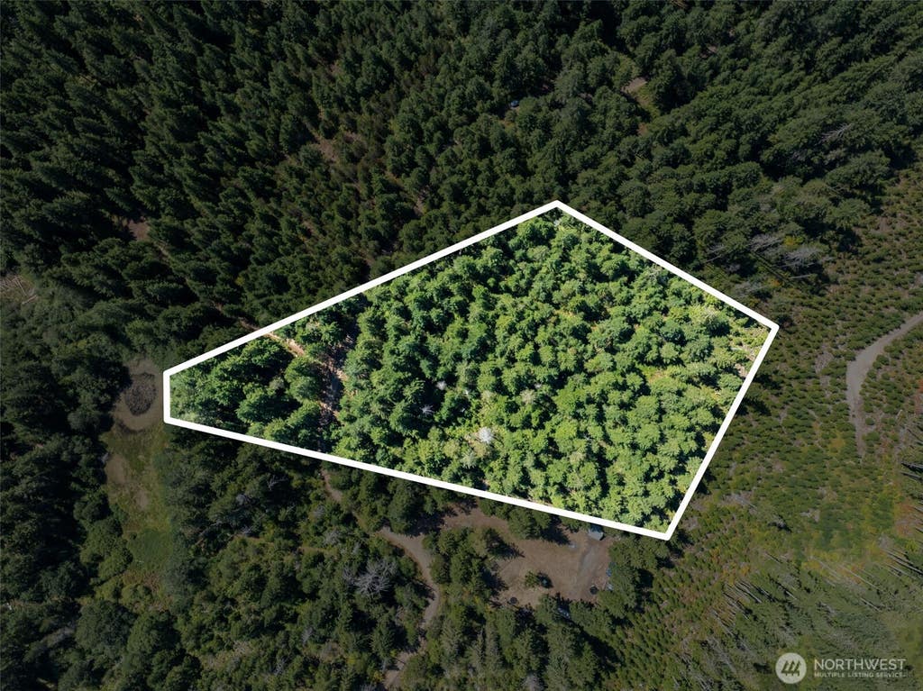 Photo of 2461 W Hanks Lake Road, Shelton, WA 98584 (MLS # 2571940)