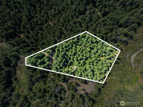 Photo of 2461 W Hanks Lake Road, Shelton, WA 98584 (MLS # 2571940)